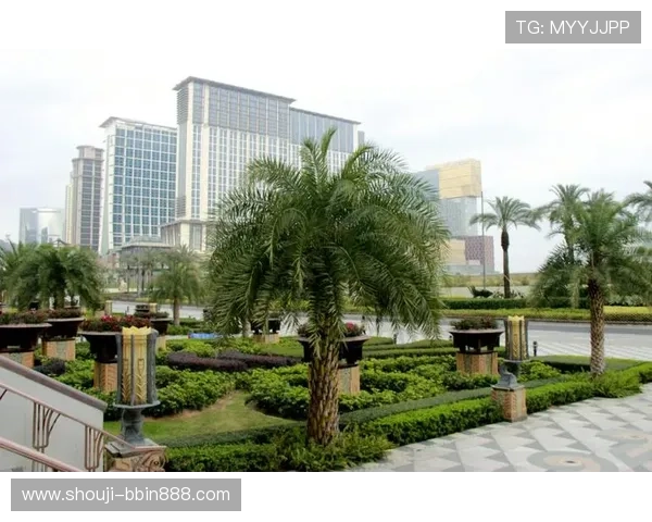 澳门PA真人娱乐最新优惠活动，错过不再有的精彩福利