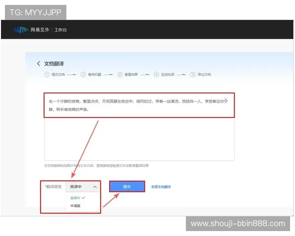bbin登录器最新版下载教程，详细步骤让你轻松掌握安全登录技巧